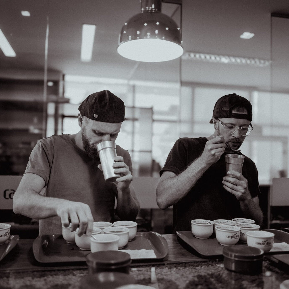 Kaffee-Aromen erkennen: Cupping-Guide & SCA-Scoring mit Übungen