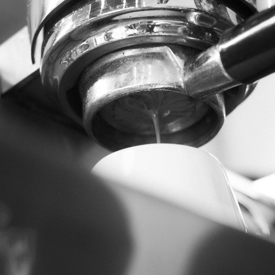 Barista Kurs Workshop